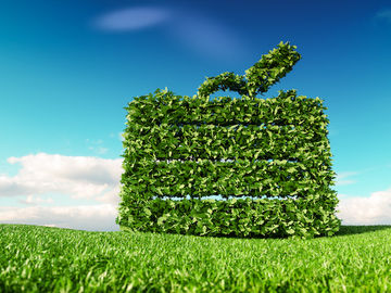 sustainable-travel-program